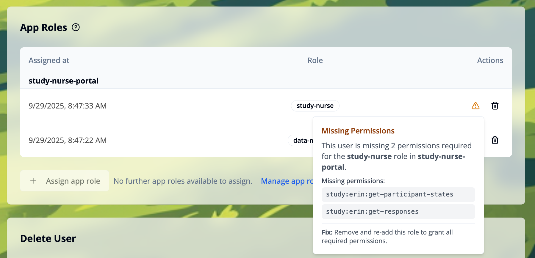 Missing permissions for a role