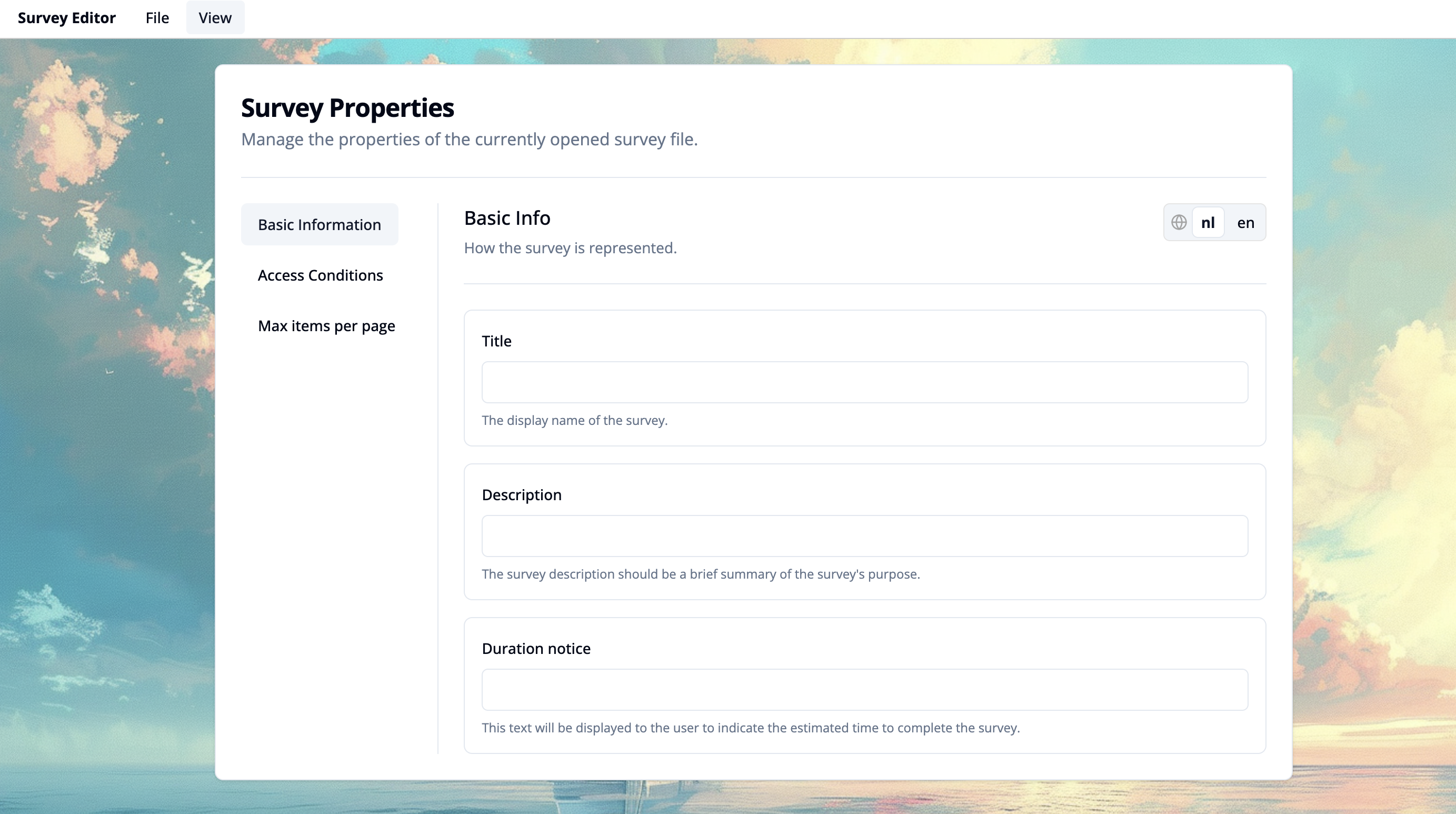 Screenshot of survey properties workspace basic information